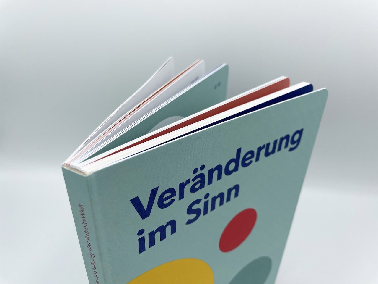 Workhack Buch: Veränderung im Sinn