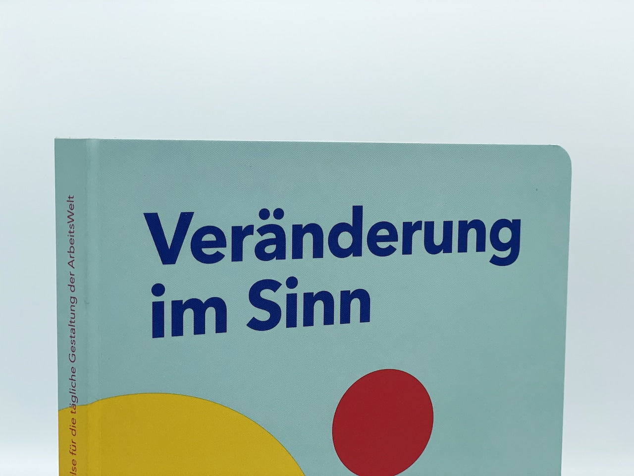 Workhack Buch: Veränderung im Sinn