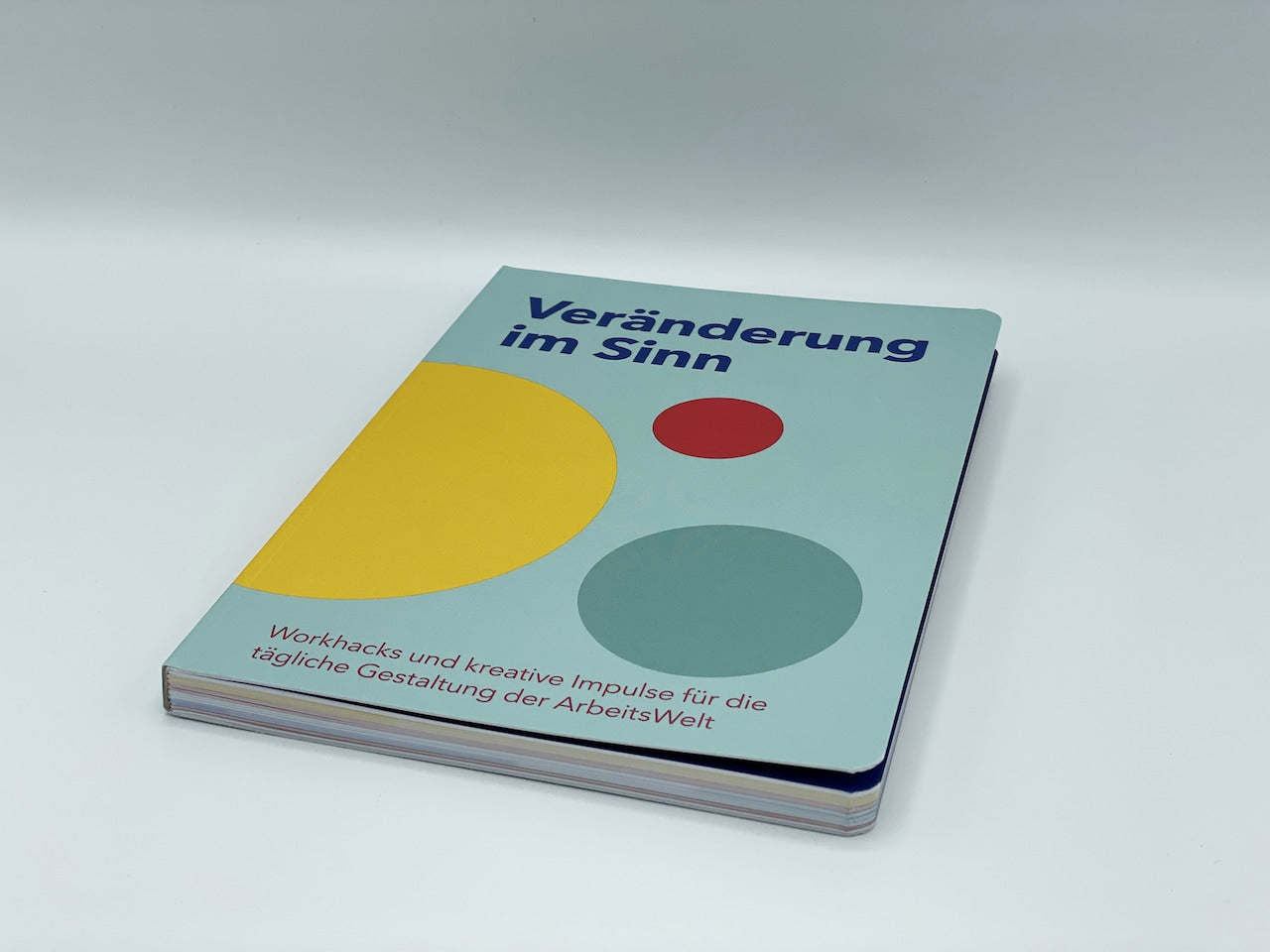 Workhack Buch: Veränderung im Sinn