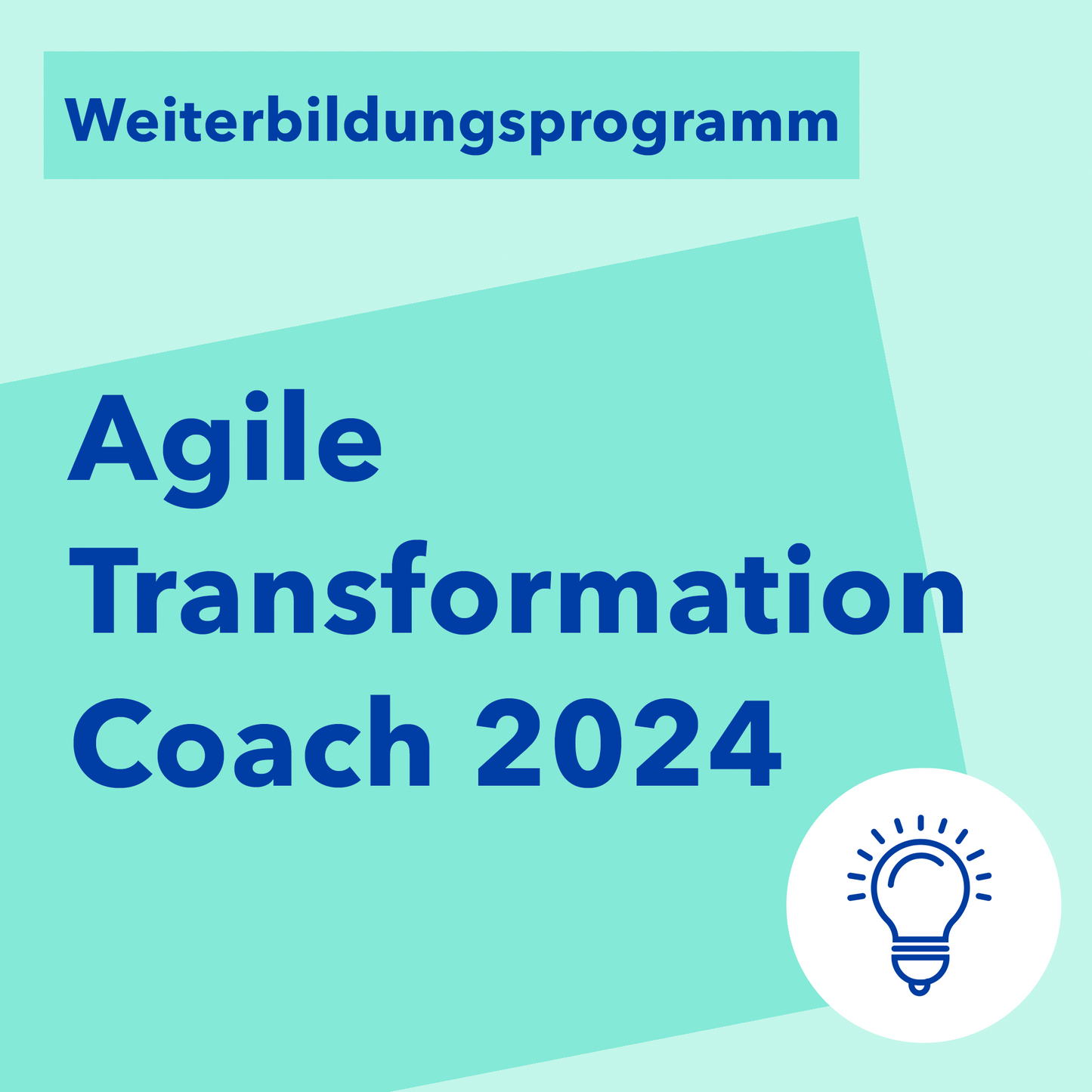 Agile Transformation Coach 2024