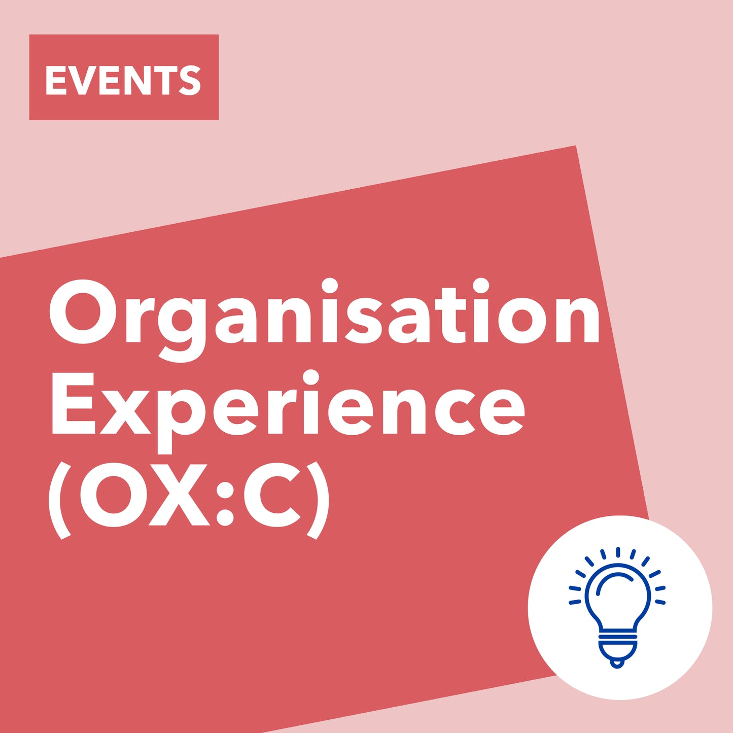 Organisation Experience (OX:C) 2025