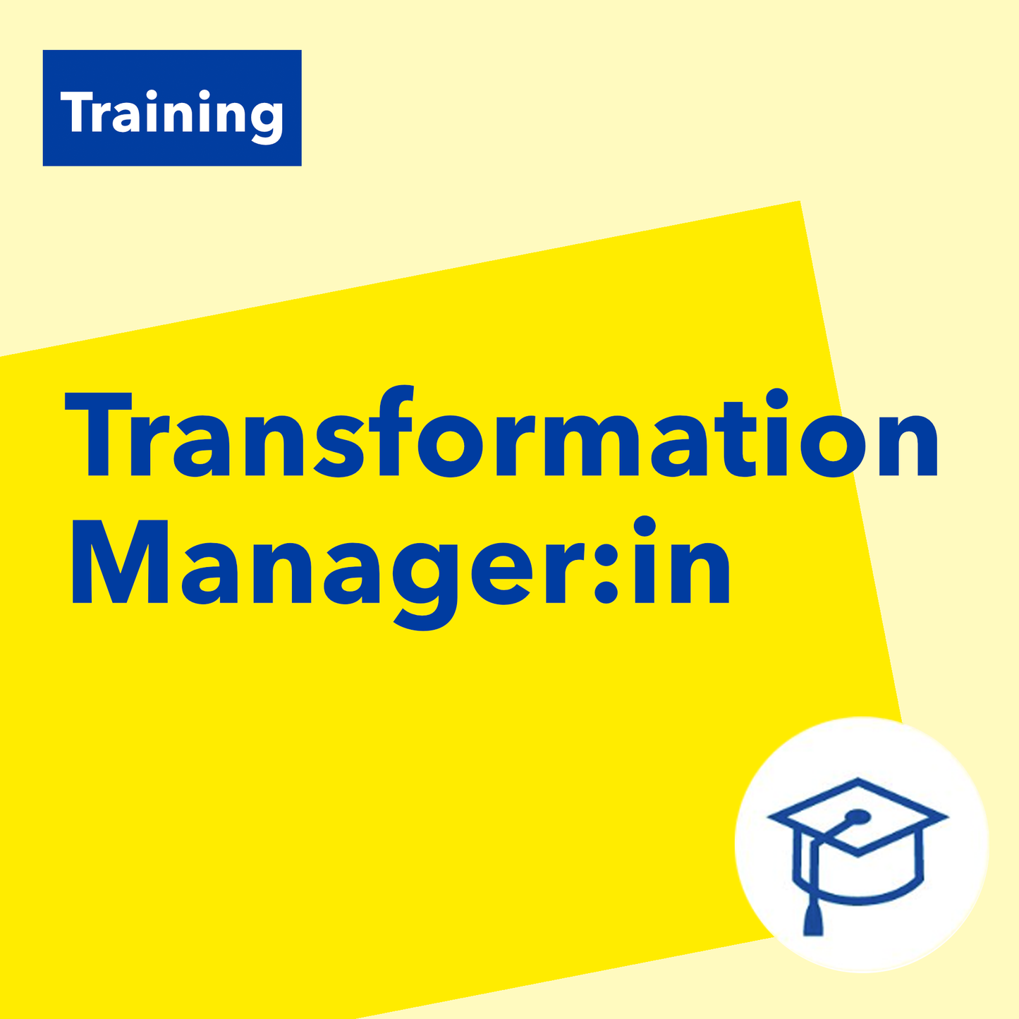 Training „Transformation Manager:in“