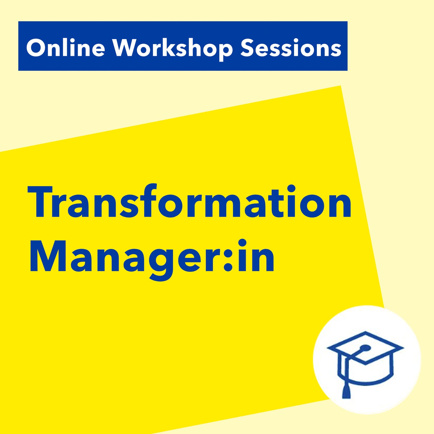 Online Workshop Sessions: Transformation-Manager:in